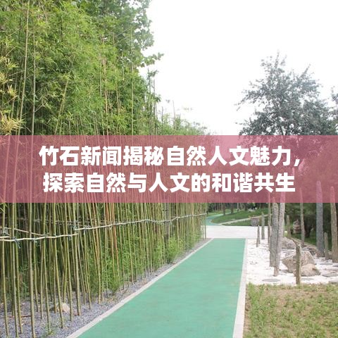 竹石新闻揭秘自然人文魅力，探索自然与人文的和谐共生