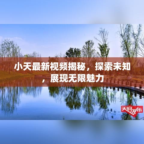 一心一意 第2页