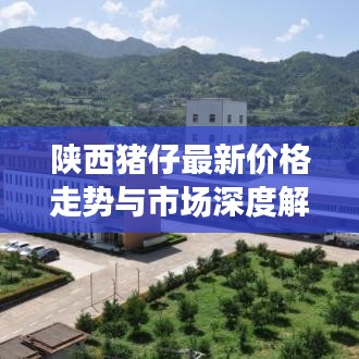 陕西猪仔最新价格走势与市场深度解析