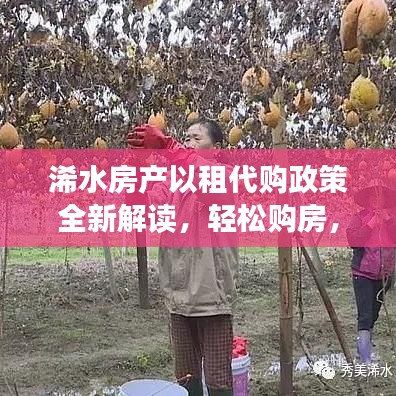 浠水房产以租代购政策全新解读，轻松购房，省钱省心！
