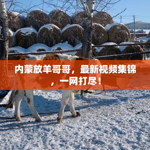 行百里者半九十 第2页