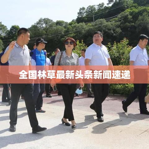 鸟吏鳖官 第2页