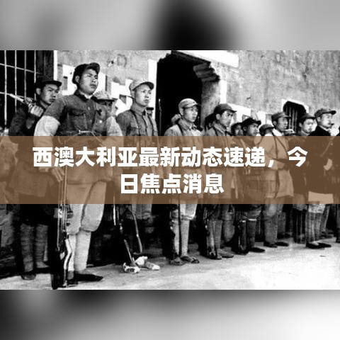 西澳大利亚最新动态速递，今日焦点消息