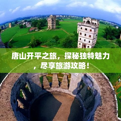 披肝沥胆 第2页