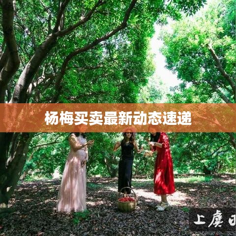 抛砖引玉 第2页