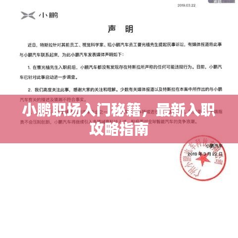 小鹏职场入门秘籍，最新入职攻略指南