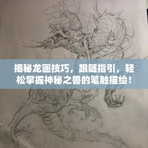 揭秘龙画技巧，跟随指引，轻松掌握神秘之兽的笔触描绘！