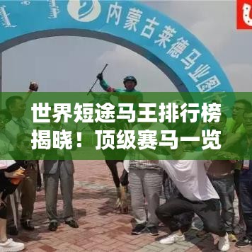 世界短途马王排行榜揭晓！顶级赛马一览无余