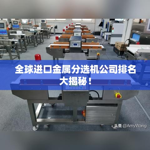 全球进口金属分选机公司排名大揭秘！