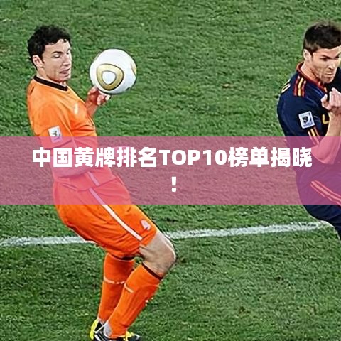 中国黄牌排名TOP10榜单揭晓！
