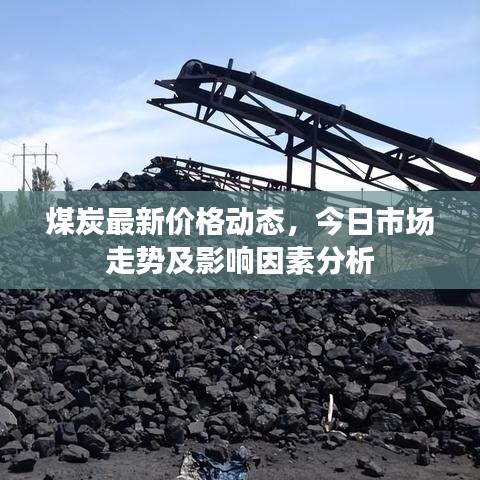 煤炭最新价格动态，今日市场走势及影响因素分析