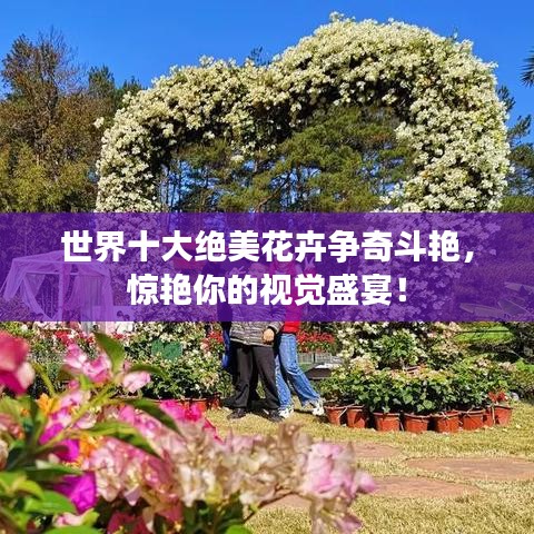 世界十大绝美花卉争奇斗艳，惊艳你的视觉盛宴！