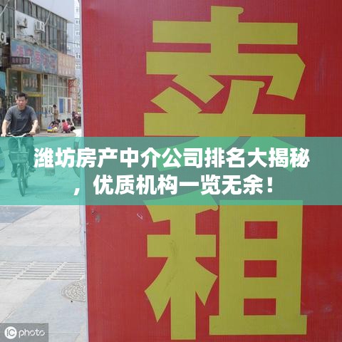 潍坊房产中介公司排名大揭秘，优质机构一览无余！