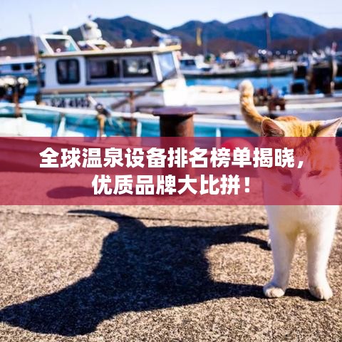 全球温泉设备排名榜单揭晓，优质品牌大比拼！