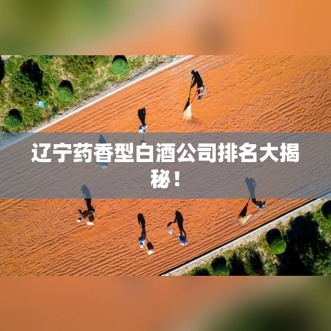 辽宁药香型白酒公司排名大揭秘！