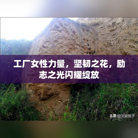 工厂女性力量，坚韧之花，励志之光闪耀绽放