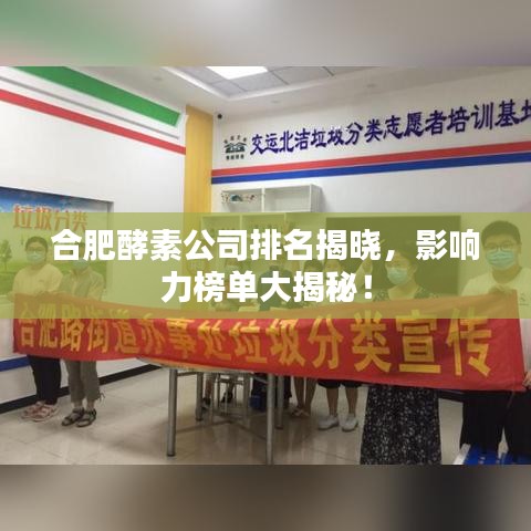 合肥酵素公司排名揭晓，影响力榜单大揭秘！