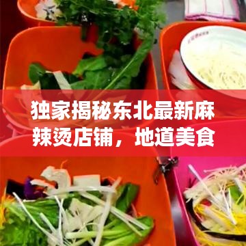 独家揭秘东北最新麻辣烫店铺，地道美食之旅不容错过！
