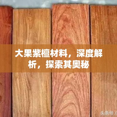大果紫檀材料，深度解析，探索其奥秘