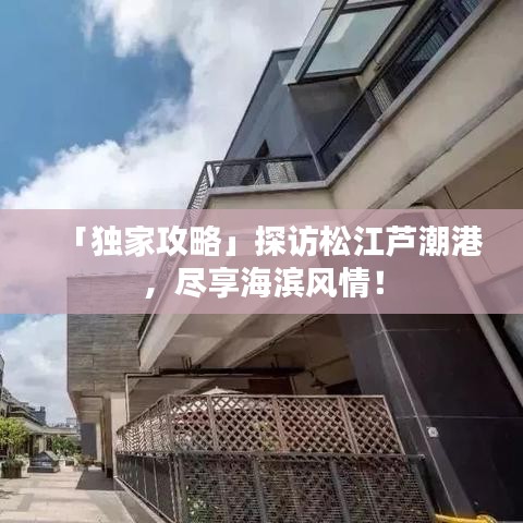 「独家攻略」探访松江芦潮港，尽享海滨风情！