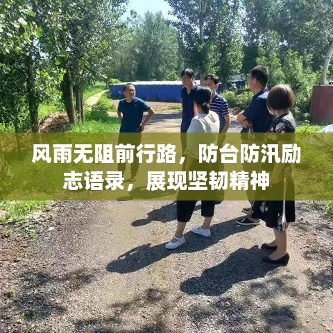 风雨无阻前行路，防台防汛励志语录，展现坚韧精神
