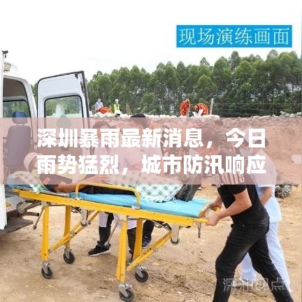 深圳暴雨最新消息，今日雨势猛烈，城市防汛响应启动！