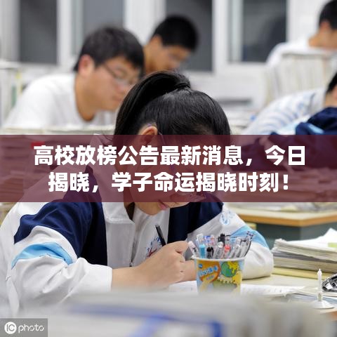 高校放榜公告最新消息，今日揭晓，学子命运揭晓时刻！