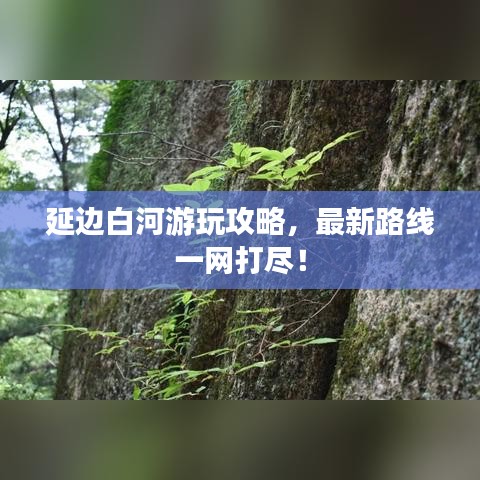延边白河游玩攻略，最新路线一网打尽！