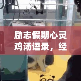 励志假期心灵鸡汤语录，经典短句点燃激情之火