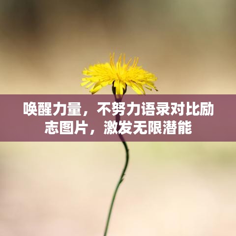 唤醒力量，不努力语录对比励志图片，激发无限潜能