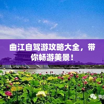 曲江自驾游攻略大全，带你畅游美景！