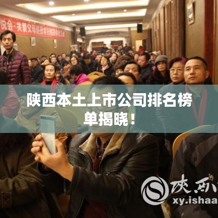 陕西本土上市公司排名榜单揭晓！