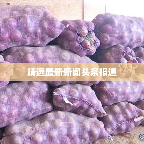 百鸟齐鸣 第2页