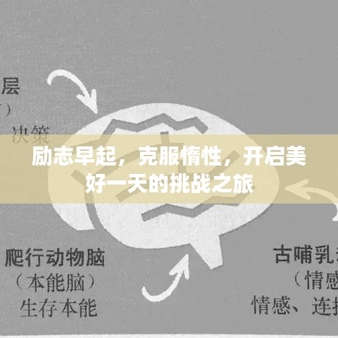 励志早起，克服惰性，开启美好一天的挑战之旅