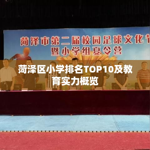 菏泽区小学排名TOP10及教育实力概览