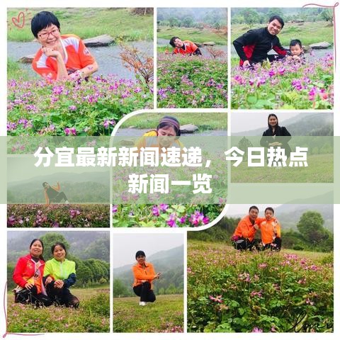 分宜最新新闻速递，今日热点新闻一览