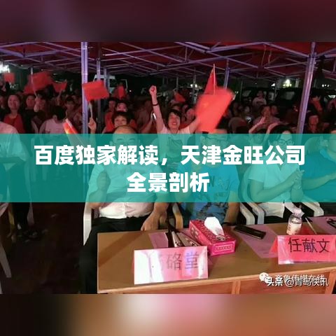 百度独家解读，天津金旺公司全景剖析
