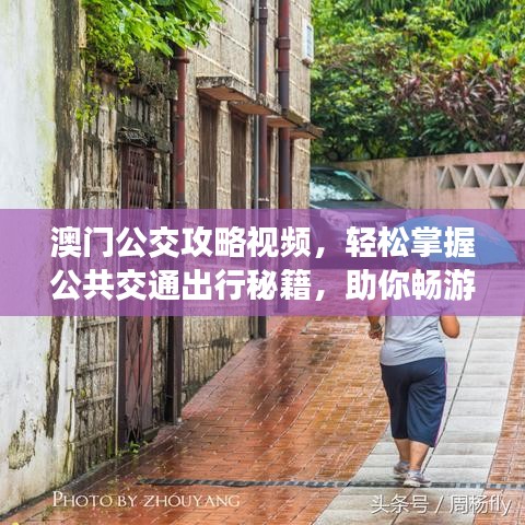 澳门公交攻略视频，轻松掌握公共交通出行秘籍，助你畅游无忧！