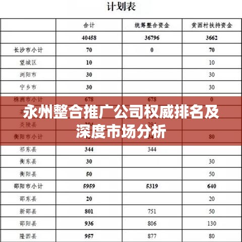 永州整合推广公司权威排名及深度市场分析