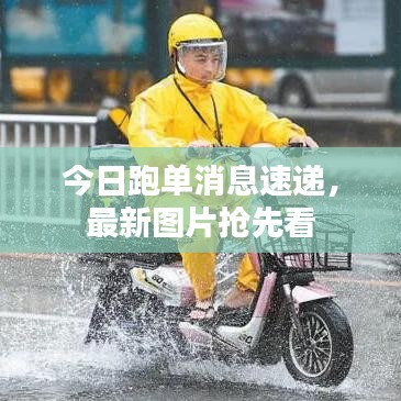今日跑单消息速递，最新图片抢先看