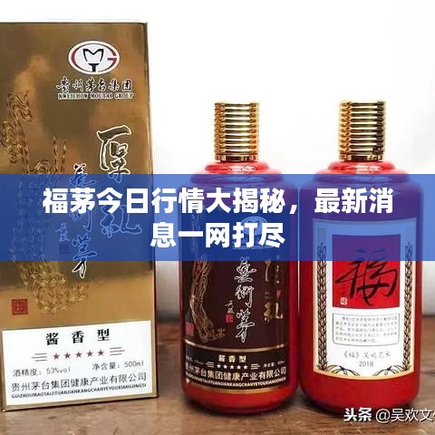 福茅今日行情大揭秘，最新消息一网打尽