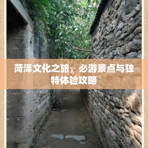 菏泽文化之旅，必游景点与独特体验攻略