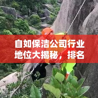 自如保洁公司行业地位大揭秘，排名及影响力解析
