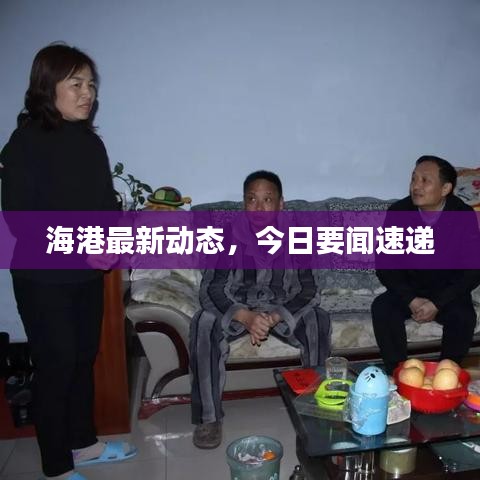 海港最新动态，今日要闻速递