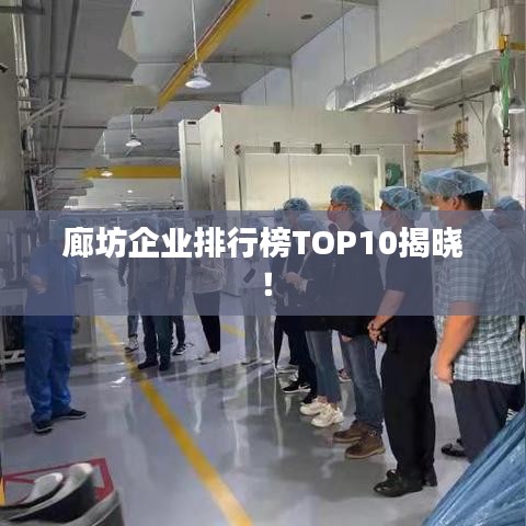 廊坊企业排行榜TOP10揭晓！