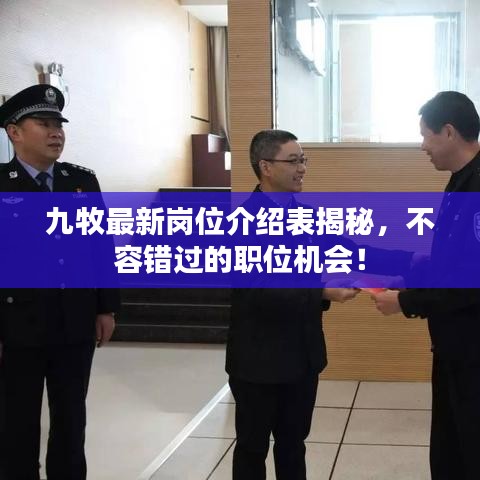 九牧最新岗位介绍表揭秘，不容错过的职位机会！