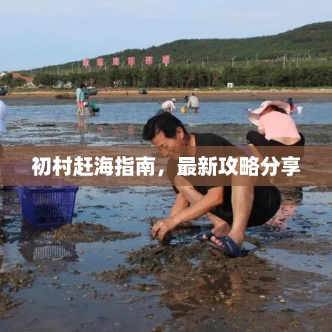 初村赶海指南，最新攻略分享