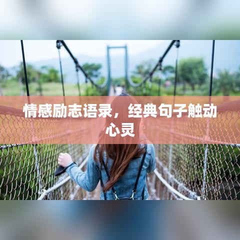 情感励志语录，经典句子触动心灵