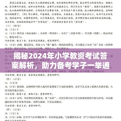 揭秘2024年小学教资考试答案解析，助力备考学子一举通关！