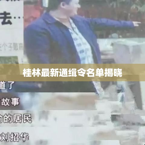 桂林最新通缉令名单揭晓